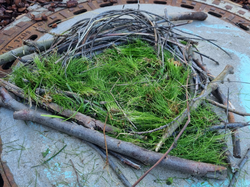 Nest gebau von den Kindern
